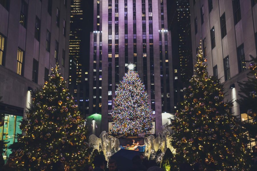Rockefeller Center Features a Maryland Tree for the First Time
