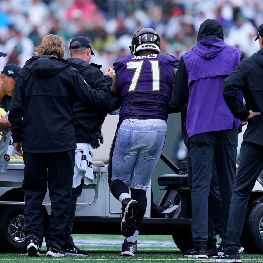 The Ravens have suffered considerable injuries this season.