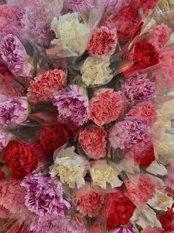 Mustangs Spread Love this Valentine’s Day by Sending TEDxMRHS Sponsored Carnation Grams