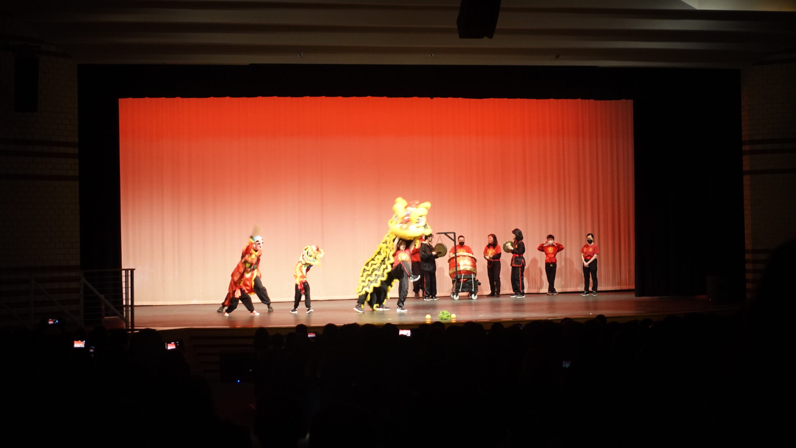 Mustangs Indulge in Multicultural Festival Performances and Activities