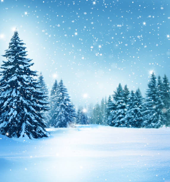 Beautiful winter landscape with snow covered trees.Christmas background