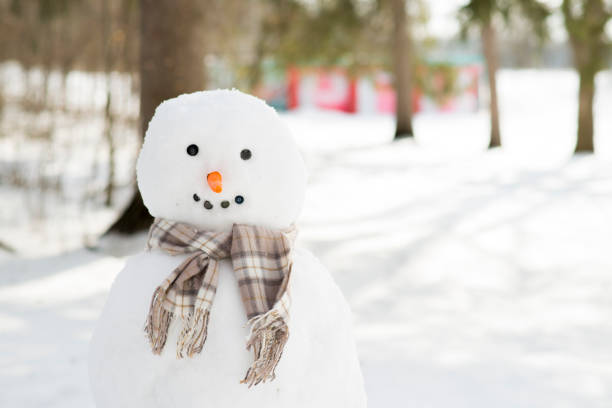 Frosty Season Fills the Air: Winter Break 2023
