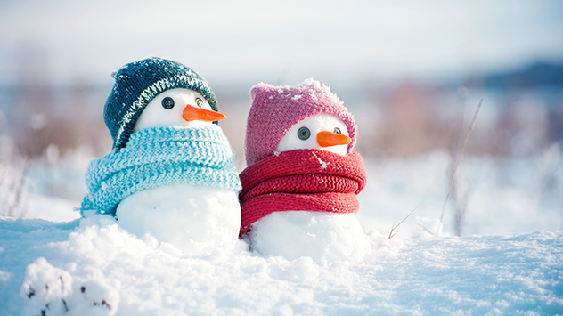 Snowy Schedules: Balancing Safety and Learning