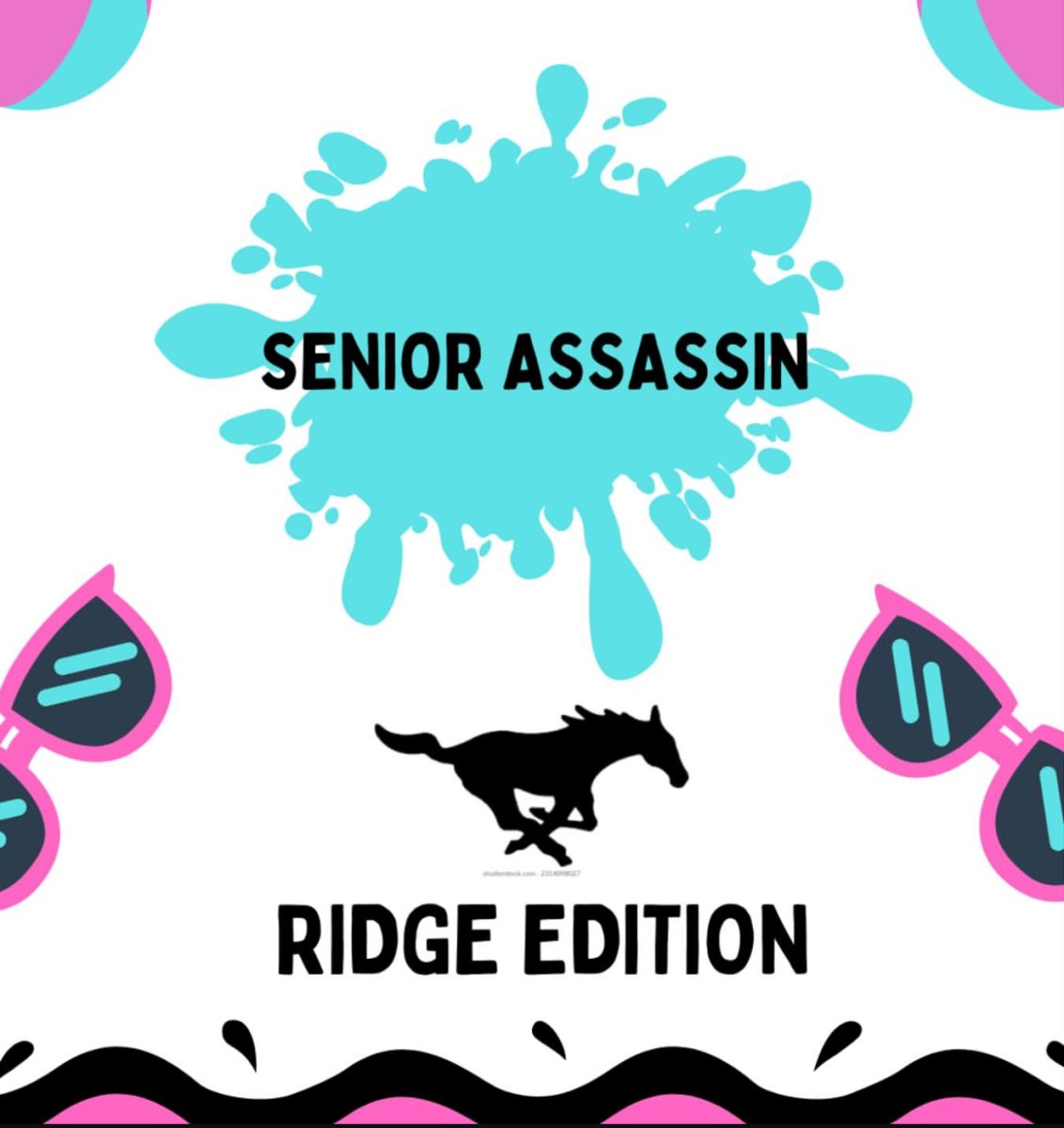 Senior Assassin